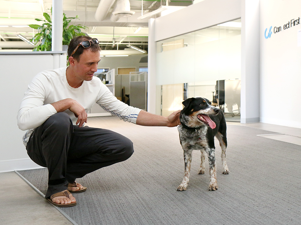 ringcentral dog-friendly